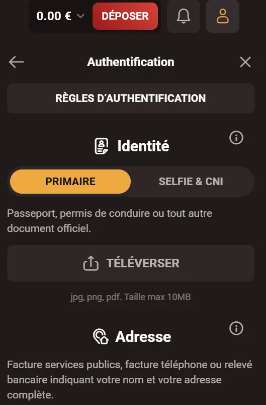 Vérification WinKingdom pour les joueurs français