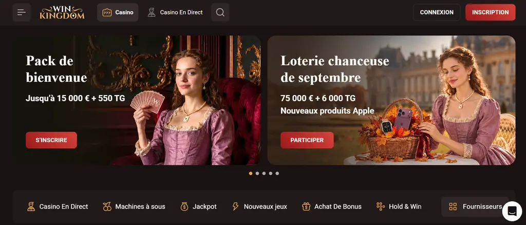 Avis sur le site officiel WinKingdom Casino en France